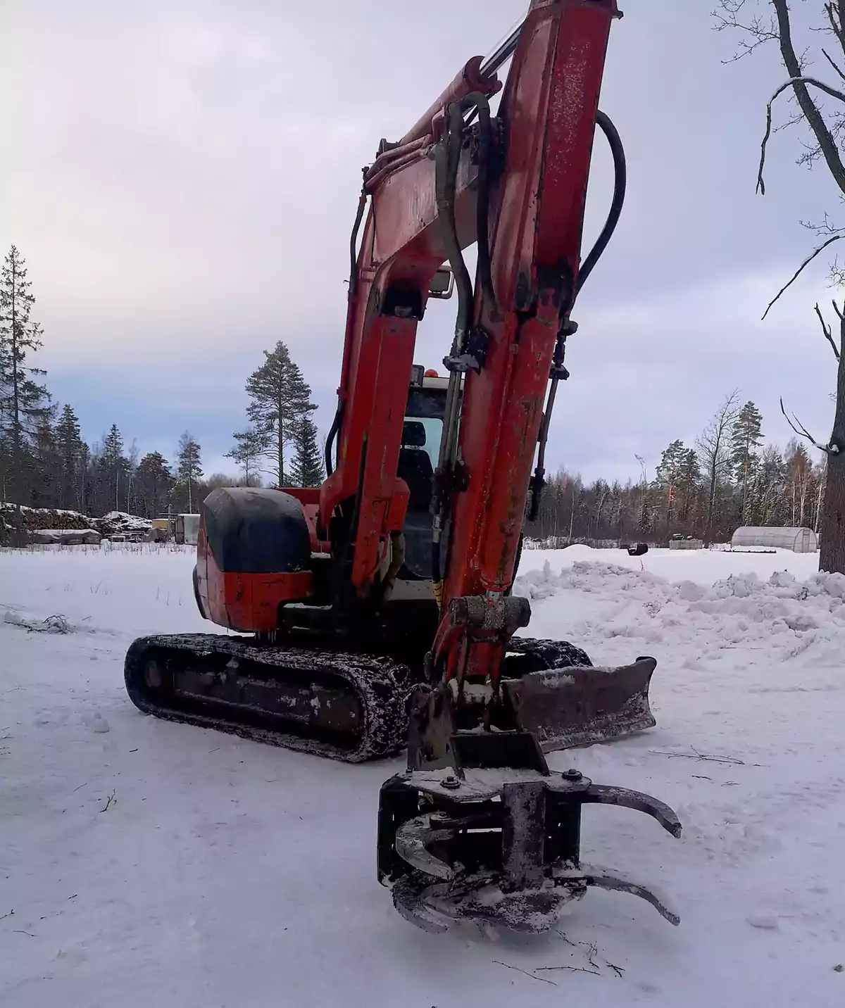 vosaloikus_giljotiiniga